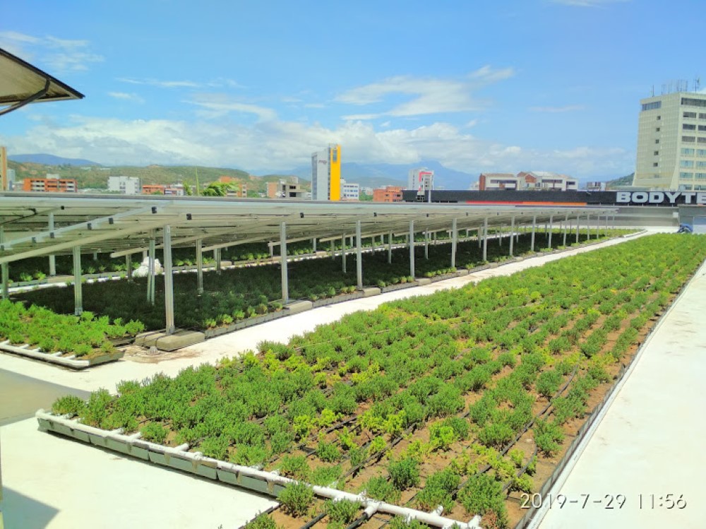 Cubiertas TPO en Colombia — obra