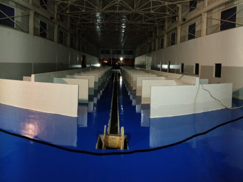 Mercado público con piso de poliuretano cemento Sikafloor PurCem Glossy azul, obra de GSA Ingeniería