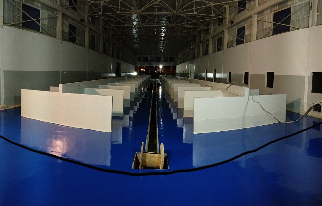gsa-proyecto-mercado-publico-piso-poliuretano-cemento-01 Mercado público con piso de poliuretano cemento Sikafloor PurCem Glossy azul, obra de GSA Ingeniería